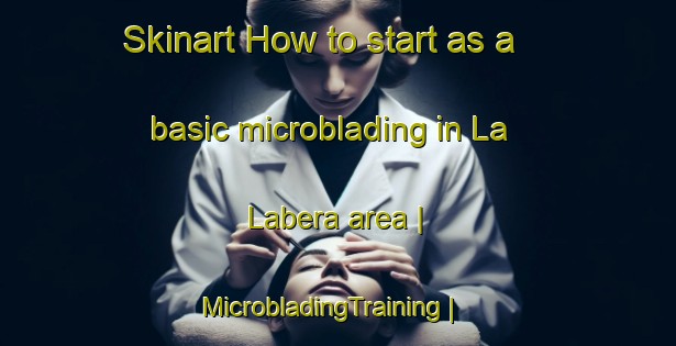 Skinart How to start as a basic microblading in La Labera area | MicrobladingTraining | MicrobladingClasses | SkinartTraining-Mexico